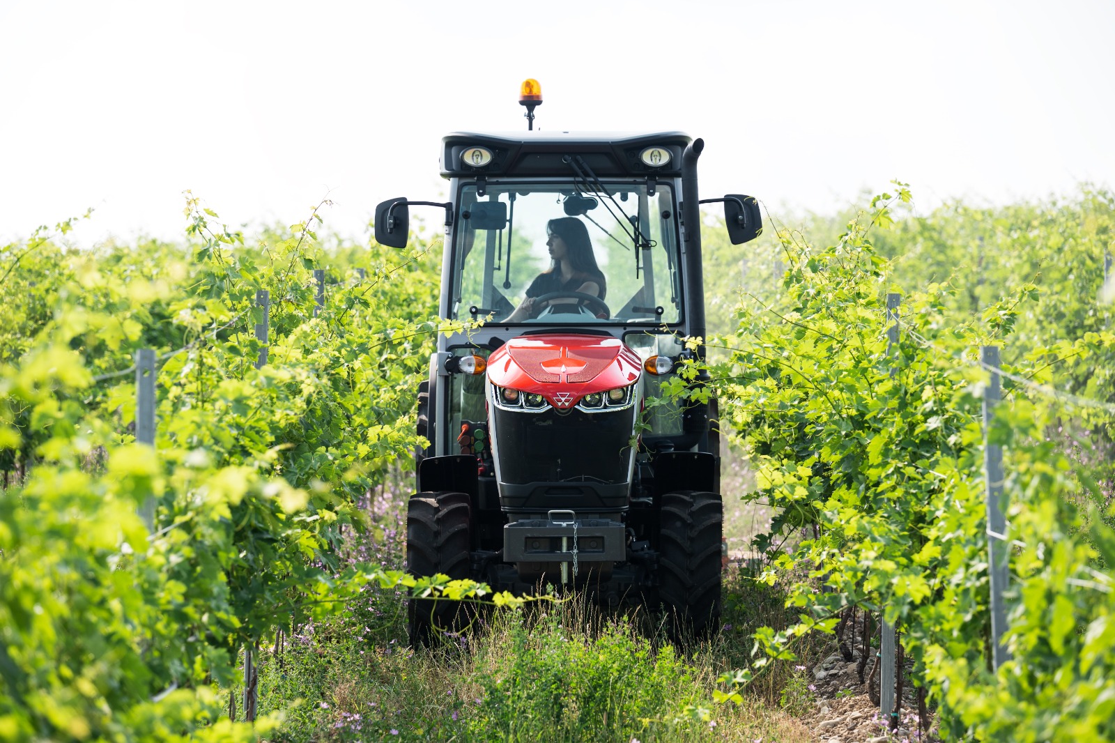 Massey Ferguson